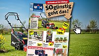 Vorschaubild zum zweiten Flugblatt 2026